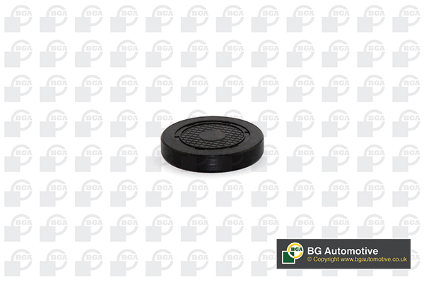 BGA BGAPL4601 Lezáró dugó, vakdugó vezérműtengely végéhez 