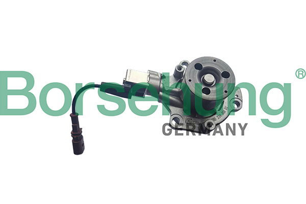 BORSEHUNG BORB11224 vízszivattyú