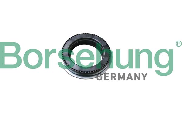 BORSEHUNG BRSB18294 Toronycsapágy, toronygumi lengéscsillapítóhoz