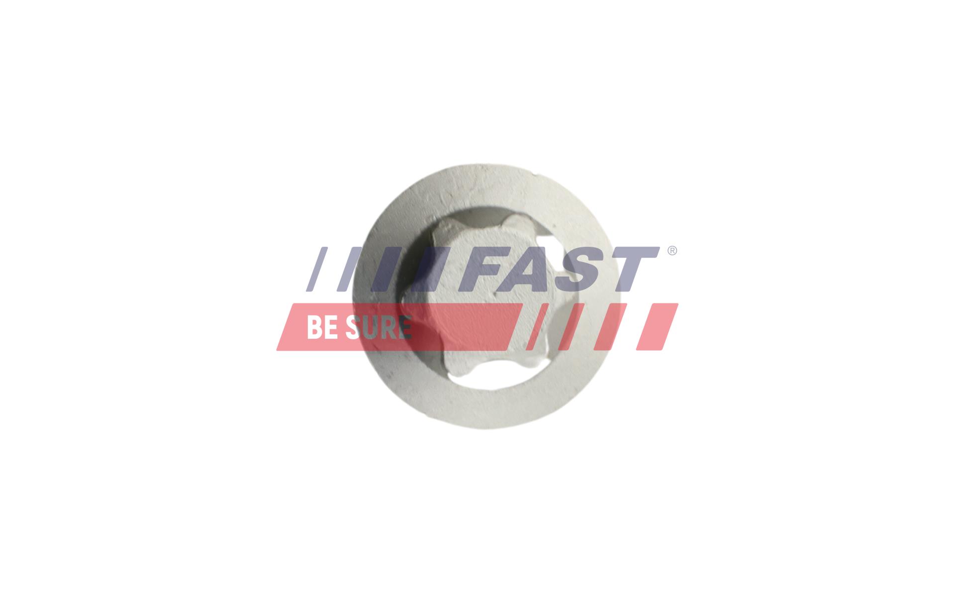 FAST FASFT14301 Csavar, csapágyazás - tengelytest