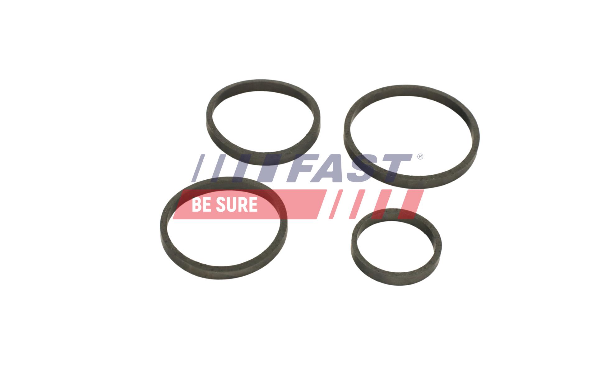 FAST FASFT48949 USZCZELKA FIAT SCUDO