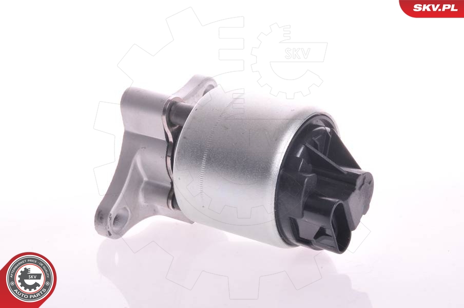 SKV SKV14SKV002 AGR-szelep