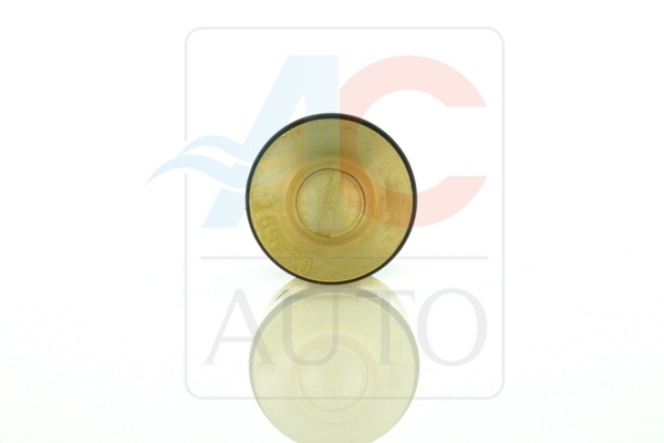 AC AUTO ACAAC-02DN10 szabályzószelep, kompresszor