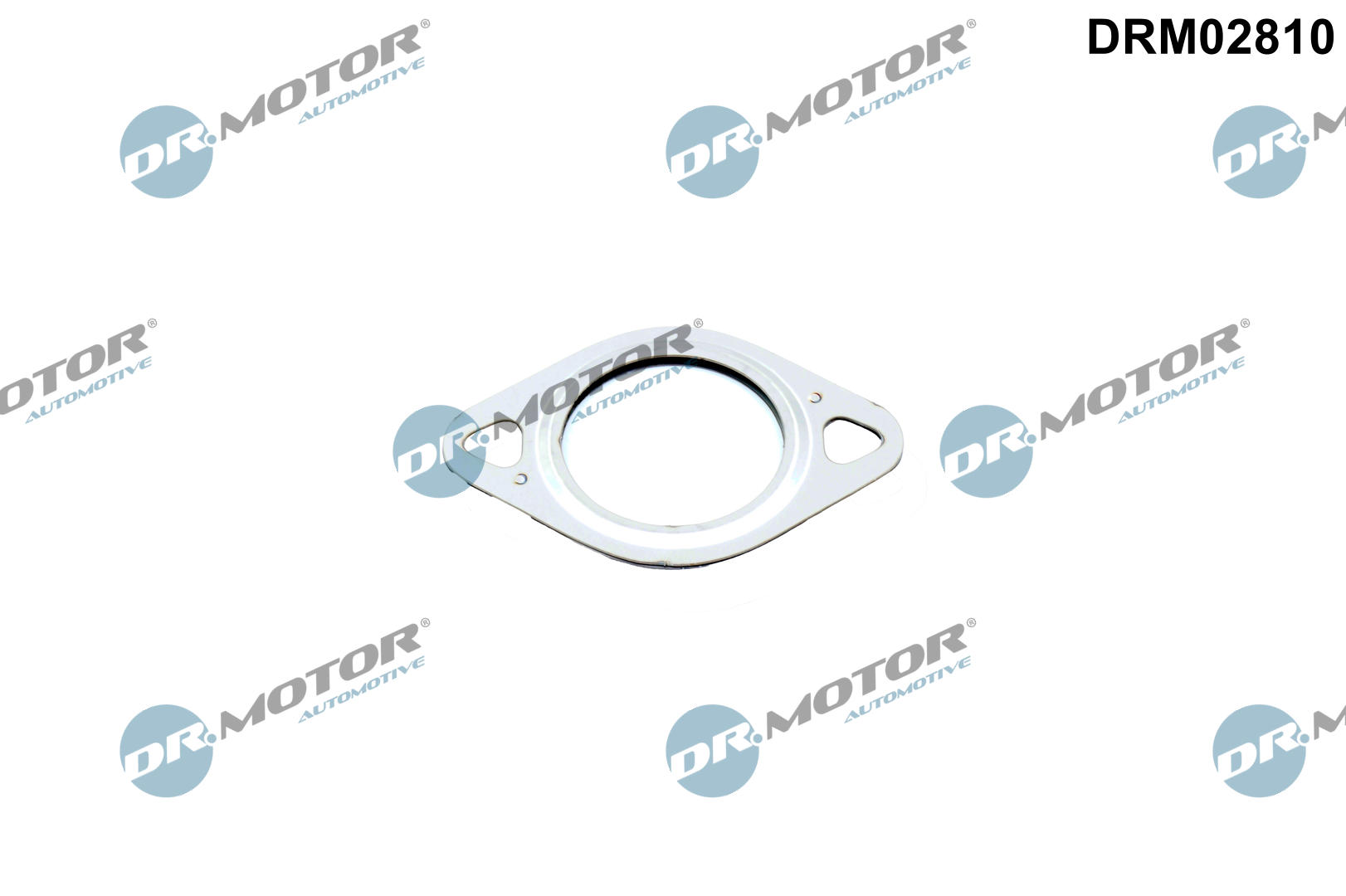 DR MOTOR DRM02810 USZCZELKA ZAWORU EGR AUDI Q7 3.0TDI 07-