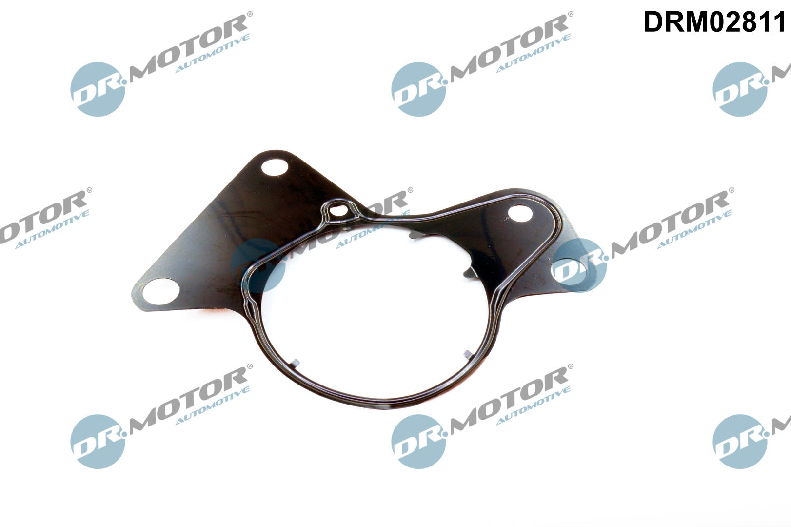 DR MOTOR DRM02811 USZCZELKA POMPY PALIWA AUDI A2