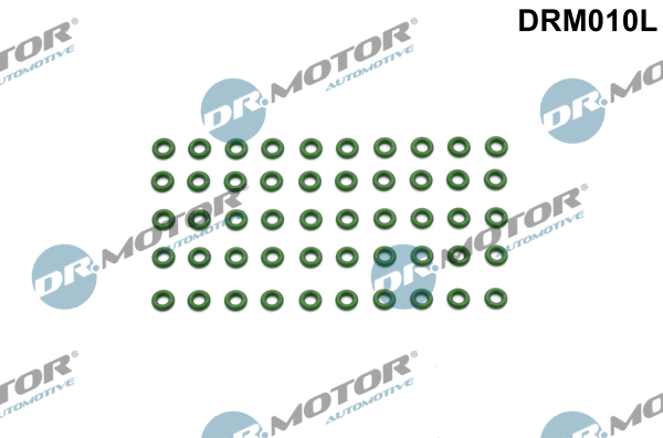 DR MOTOR DRMDRM010L Tömítőgyűrű, fúvóka tartó