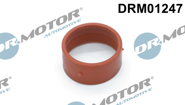 DR MOTOR DRM01247 Tömítőgyűrű, töltőlevegőcső