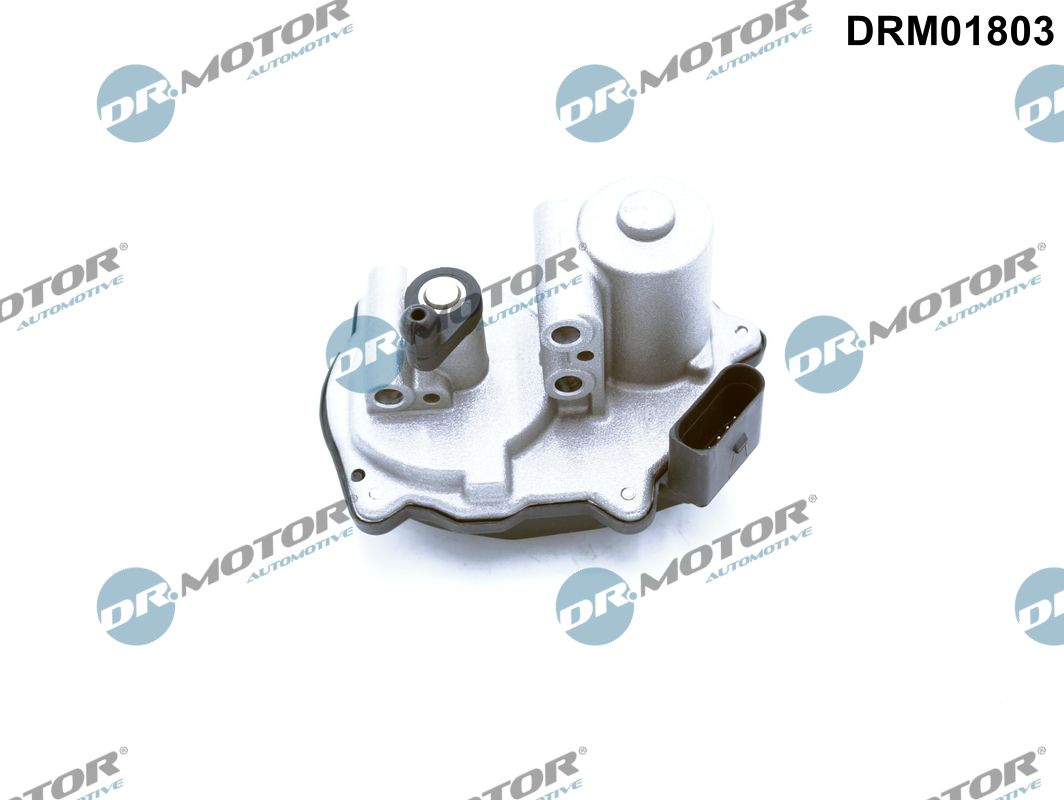 DR MOTOR DRMDRM01803 Állítóelem, átkapcsolólap (szívócső)