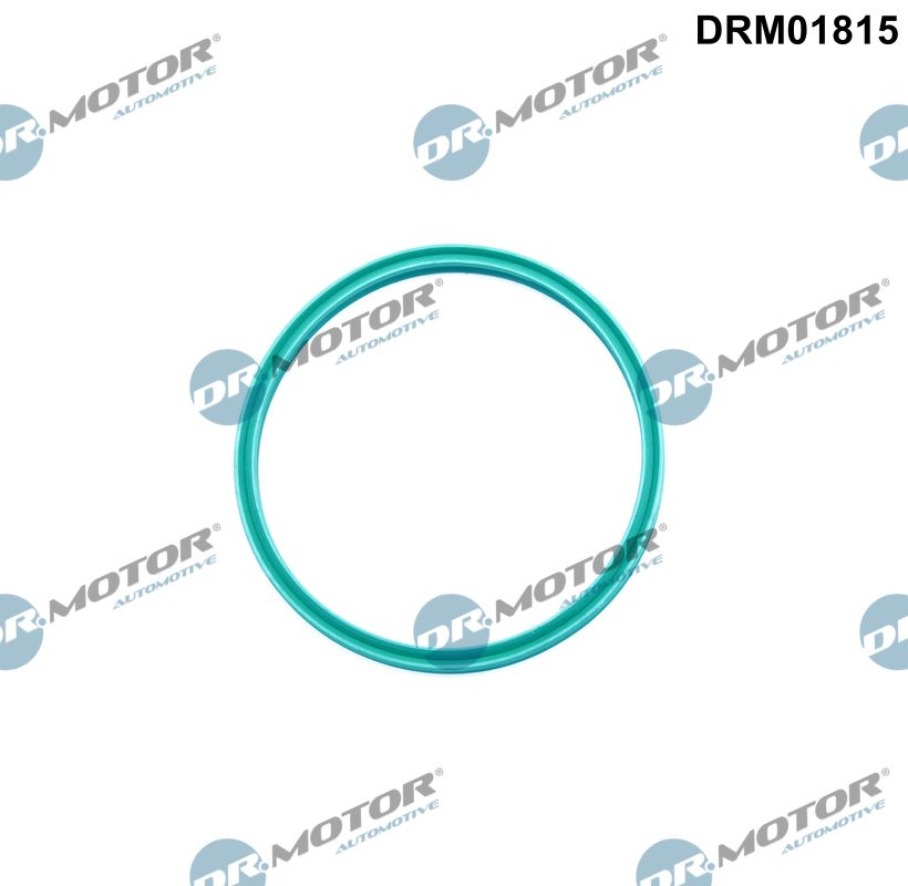 DR MOTOR DRMDRM01815 Tömítőgyűrű, töltőlevegő cső