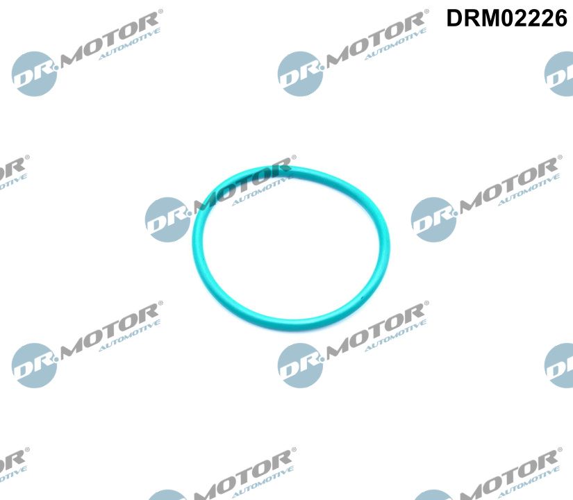 DR MOTOR DRMDRM02226 tömítés, AGR szelep