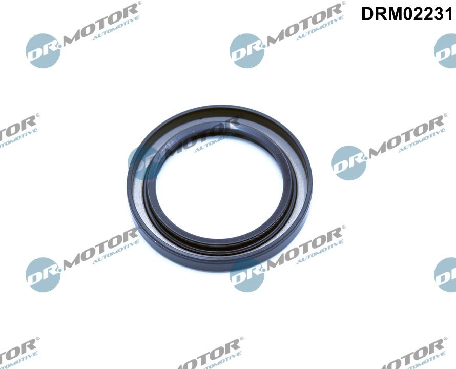 DR MOTOR DRMDRM02231 tömítőgyűrű, főtengely