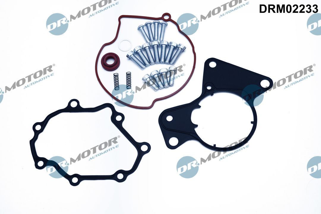 DR MOTOR DRMDRM02233 Javítókészlet, vákuumszivattyú (fékrendszer)