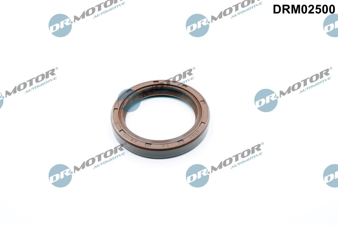 DR MOTOR DRM02500 SIMER. WAŁKA ROZRZĽDU CITROEN