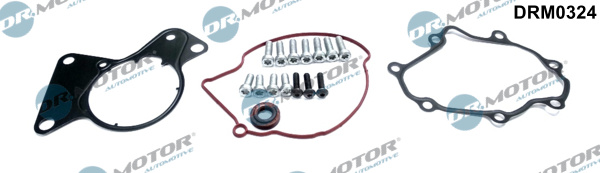 DR MOTOR DCMDRM0324 Vákuumszivattyú