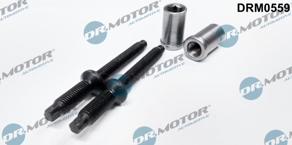DR MOTOR 507827 DRM0559 Csavar, befecskendező fúvóka tartó