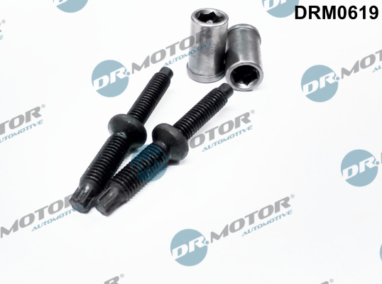 DR MOTOR DRMDRM0619 Tömítéskészlet, befecskendezőfúvóka