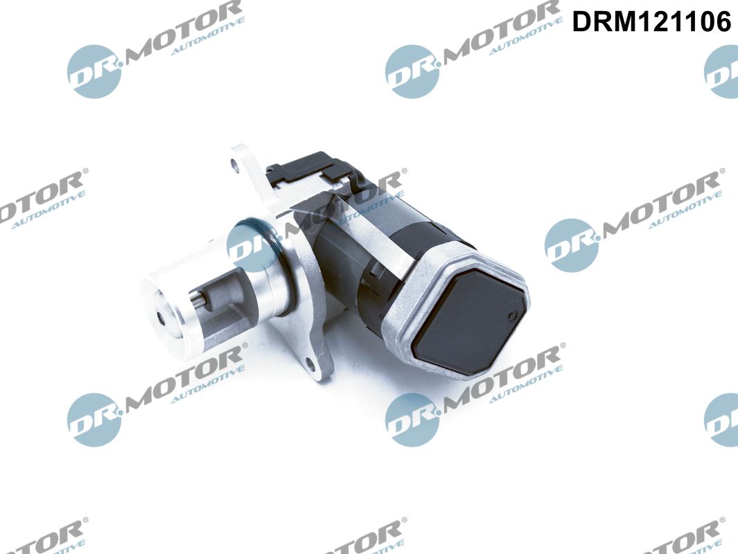 DR MOTOR DRMDRM121106 AGR-szelep