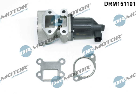 DR MOTOR DRMDRM151101 AGR-szelep