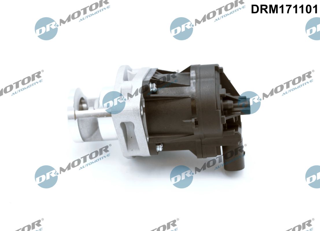 DR MOTOR DRMDRM171101 AGR-szelep