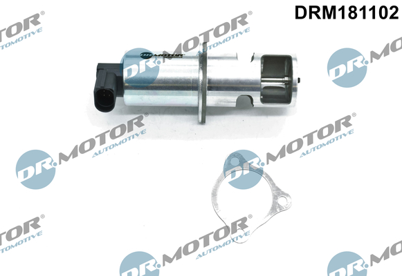 DR MOTOR DRMDRM181102 AGR-szelep