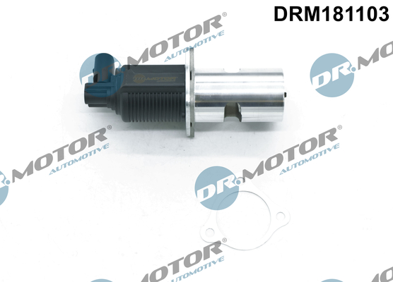 DR MOTOR DRMDRM181103 AGR-szelep