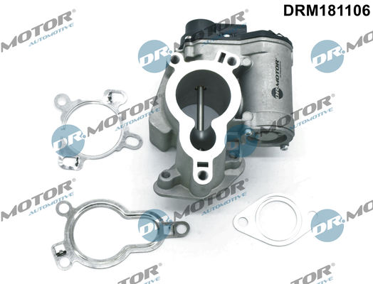 DR MOTOR DRMDRM181106 AGR-szelep