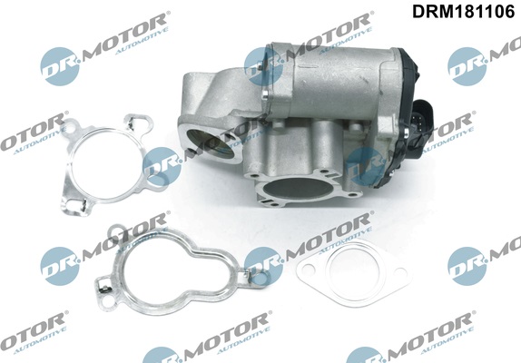 DR MOTOR DRMDRM181106 AGR-szelep