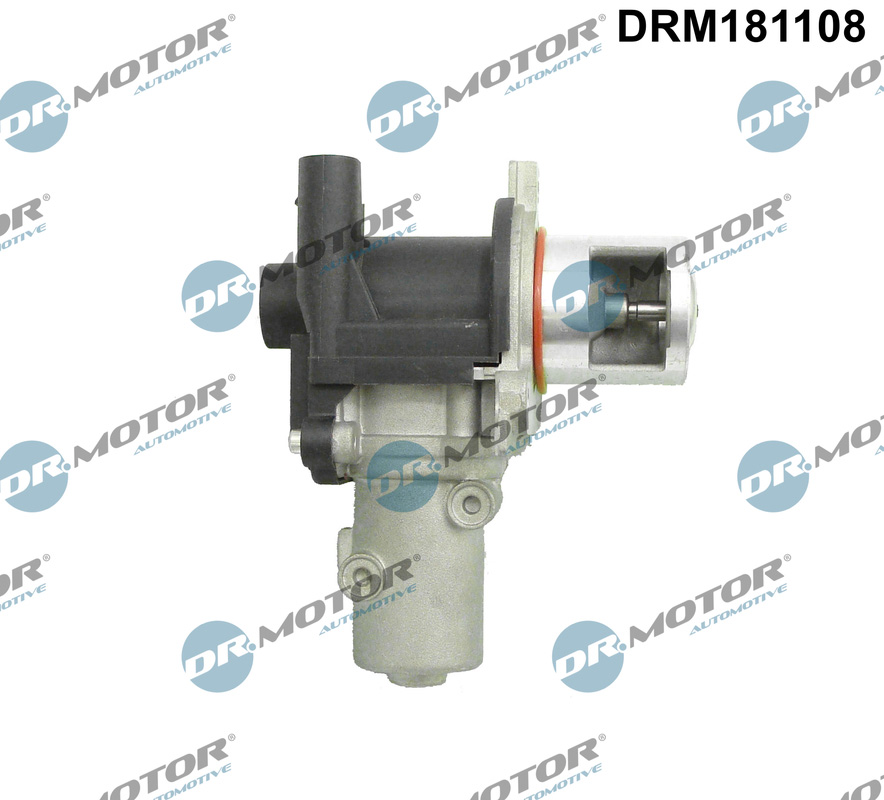 DR MOTOR DRMDRM181108 AGR-szelep