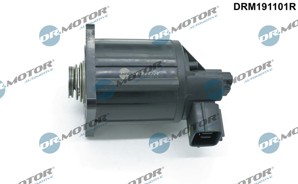 DR MOTOR DRM191101R AGR-szelep