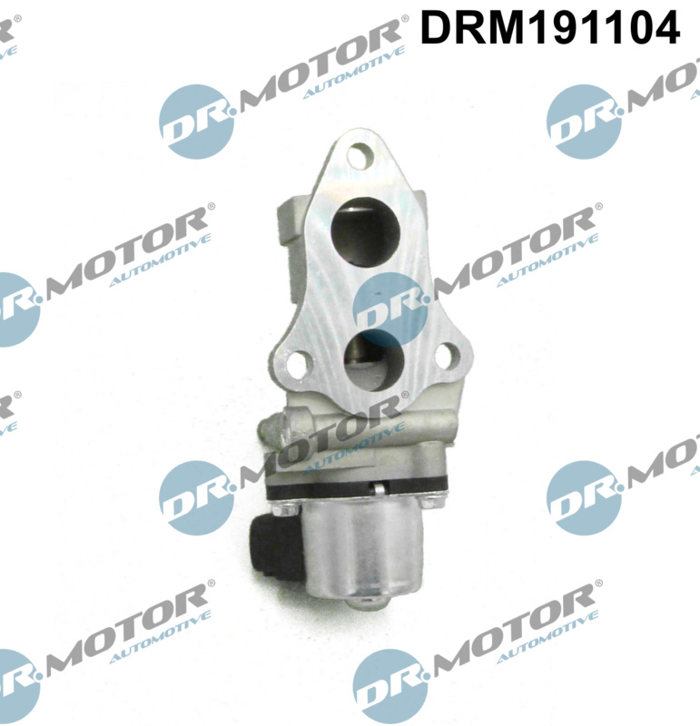 DR MOTOR DRMDRM191104 AGR-szelep