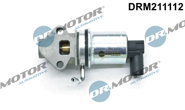 DR MOTOR DRMDRM211112 AGR-szelep