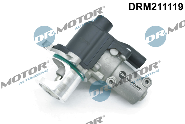 DR MOTOR DRMDRM211119 AGR-szelep