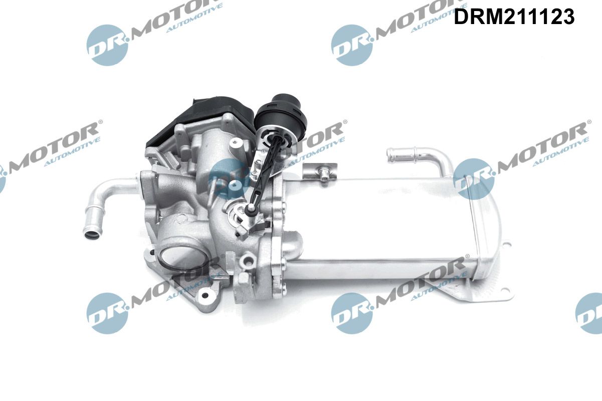 DR MOTOR DRM211123 AGR-szelep