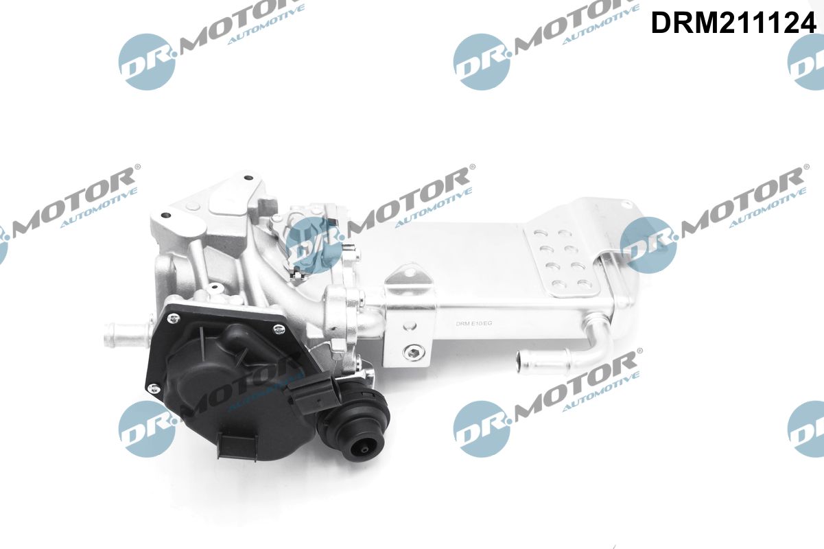 DR MOTOR DRM211124 AGR-szelep