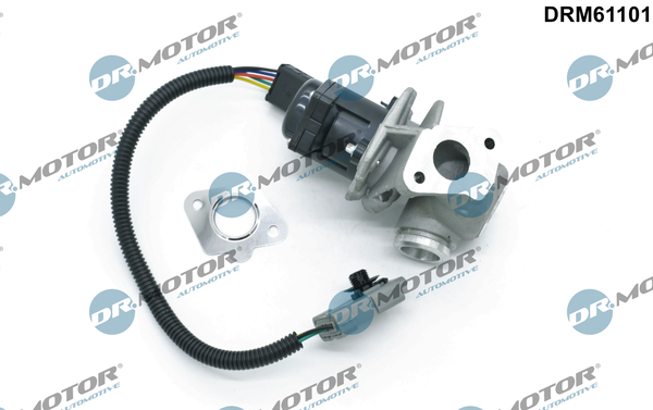 DR MOTOR DRMDRM61101 AGR-szelep