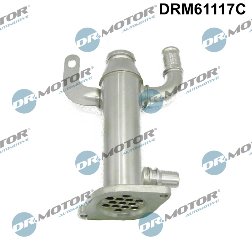 DR MOTOR DRMDRM61117C Hűtő, kipufogógáz visszavezetés